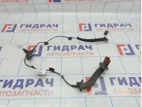 Проводка двери задней левой Renault Logan 2 241261266R.