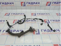 Проводка двери передней правой Renault Logan 2 241258260R.