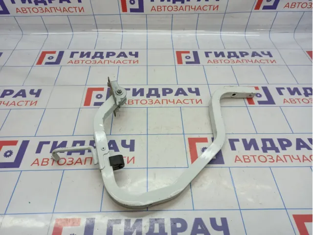 Петля крышки багажника правая Renault Logan 2 904002721R.