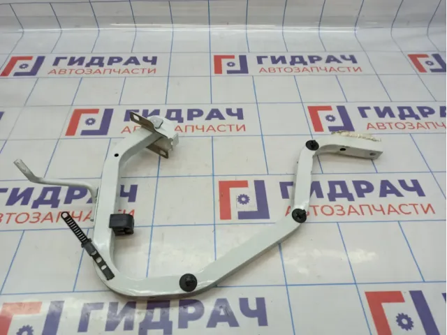 Петля крышки багажника левая Renault Logan 2 904019455R.