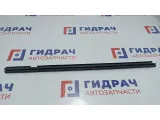 Уплотнитель стекла двери задней левой Renault Logan 2 823312887R. Внутренняя.