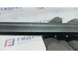 Уплотнитель стекла двери задней левой Renault Logan 2 823312887R. Внутренняя.