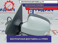 Зеркало левое Renault Logan 2 963029097R. 7 контактов. С повторителем.