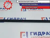 Уплотнитель стекла двери передней левой Renault Logan 2 803313063R. Внутренняя.