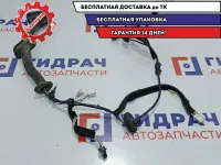 Проводка двери передней правой Renault Logan 2 241251878R.