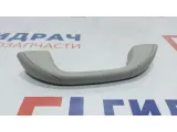Ручка внутренняя потолочная Renault Logan 2 8200845691.