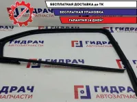 Уплотнитель стекла двери заднего левого Renault Logan 2 823314662R.