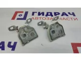 Петли двери задней правой Renault Logan 2 6001546883. Пара.