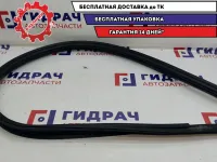 Уплотнитель дверей наружный правый Renault Logan 2 768605647R.