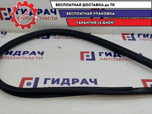 Уплотнитель дверей наружный правый Renault Logan 2 768605647R.