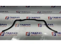 Стабилизатор передний Renault Logan 2 6001549310.