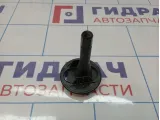 Болт крепления запасного колеса Renault Logan 2 7703041034