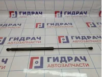 Амортизатор капота Renault Logan 2 654713274R