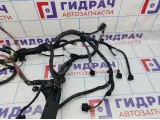 Проводка моторная Renault Megane 2 8200562407