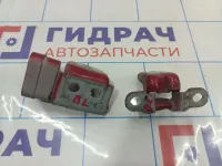 Петли двери задней левой Renault Megane 2