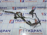 Проводка двери передней левой Renault Megane 2 8200663110