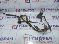 Проводка двери передней левой Renault Megane 2 8200663110