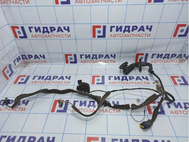 Проводка двери передней правой Renault Megane 2 8200525185