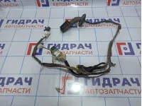 Проводка двери задней левой Renault Megane 2 8200217370