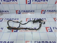 Проводка двери задней правой Renault Megane 2 8200217370