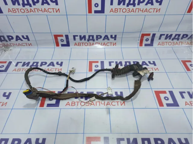 Проводка двери задней правой Renault Megane 2 8200217370