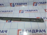 Накладка двери задней левой Renault Megane 2 8200574625