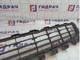 Решетка в бампер центральная Renault Megane 2 8200746184