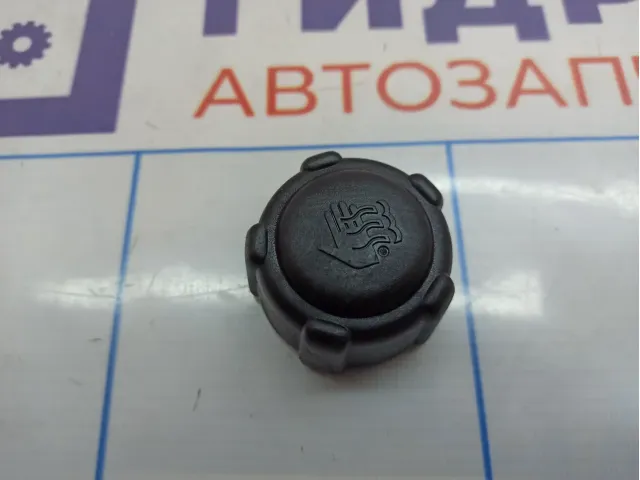 Крышка расширительного бачка Renault Megane 2 8200048024