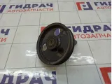 Ролик ручейкового ремня Renault Megane 8200641468