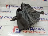 Корпус воздушного фильтра Renault Megane 8200401500