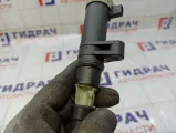 Катушка зажигания Renault Megane 224333529R