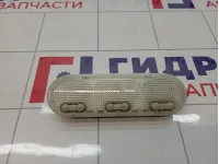 Плафон салонный Renault Megane 2 8200073234