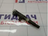 Катушка зажигания Renault Megane 2 224333529R
