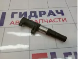 Катушка зажигания Renault Megane 2 224333529R