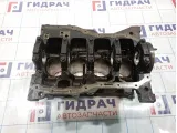 Блок двигателя Renault Megane 2 7701476932
