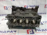 Блок двигателя Renault Megane 2 7701476932
