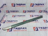 Накладка двери передней левой Renault Megane 2 7701475247