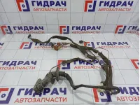 Проводка двери передней левой Renault Megane 2 8200525234