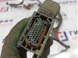 Проводка двери передней левой Renault Megane 2 8200525234