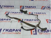 Проводка двери задней левой Renault Megane 2 8200217370