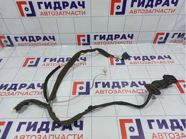 Проводка двери задней правой Renault Megane 2 8200217370