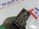 Проводка двери задней правой Renault Megane 2 8200217370