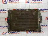 Радиатор основной Renault Megane 2 8200115542