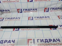 Уплотнитель стекла двери передней левой Renault Megane 2 8200270517