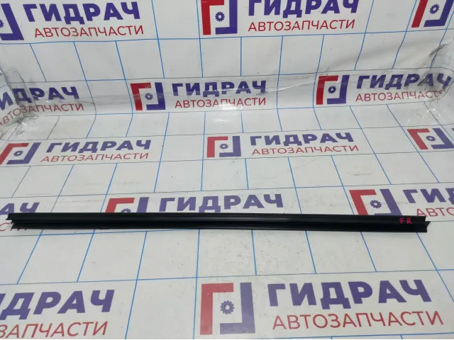 Уплотнитель стекла двери передней правой Renault Megane 2 8200270517
