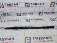 Уплотнитель стекла двери задней левой Renault Megane 2