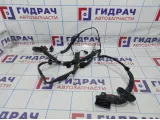 Проводка двери передней левой Renault Megane 2 8200663110