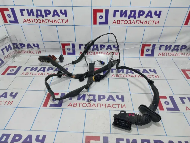 Проводка двери передней левой Renault Megane 2 8200663110