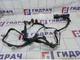Проводка двери передней левой Renault Megane 2 8200663110