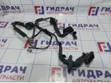 Проводка двери передней правой Renault Megane 2 8200525185
